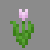 różowy tulipan minecraft